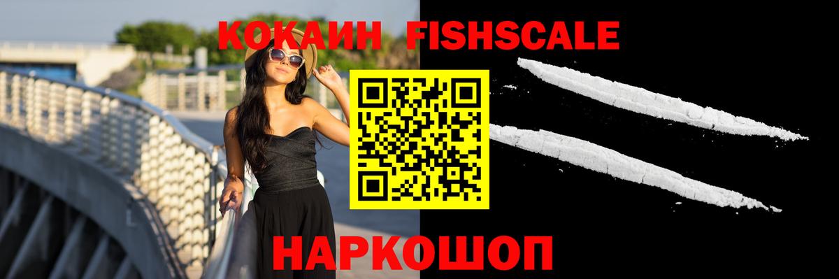 COCAIN  COCAIN FishScale  Кандалакша  Вход с VPN  COCAIN Fish Scale 